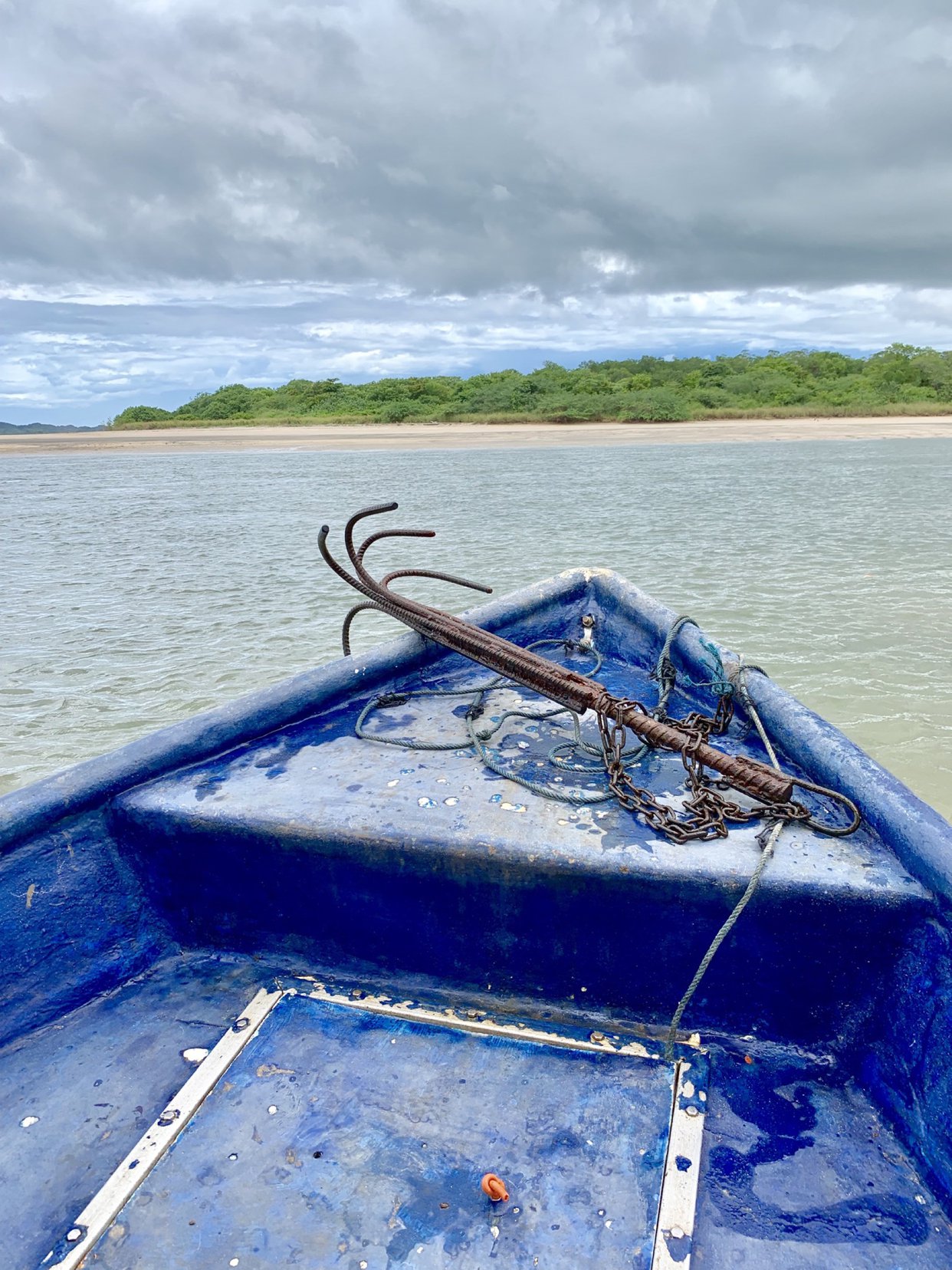 Tamarindo