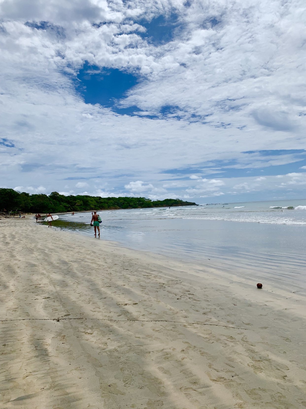 Tamarindo