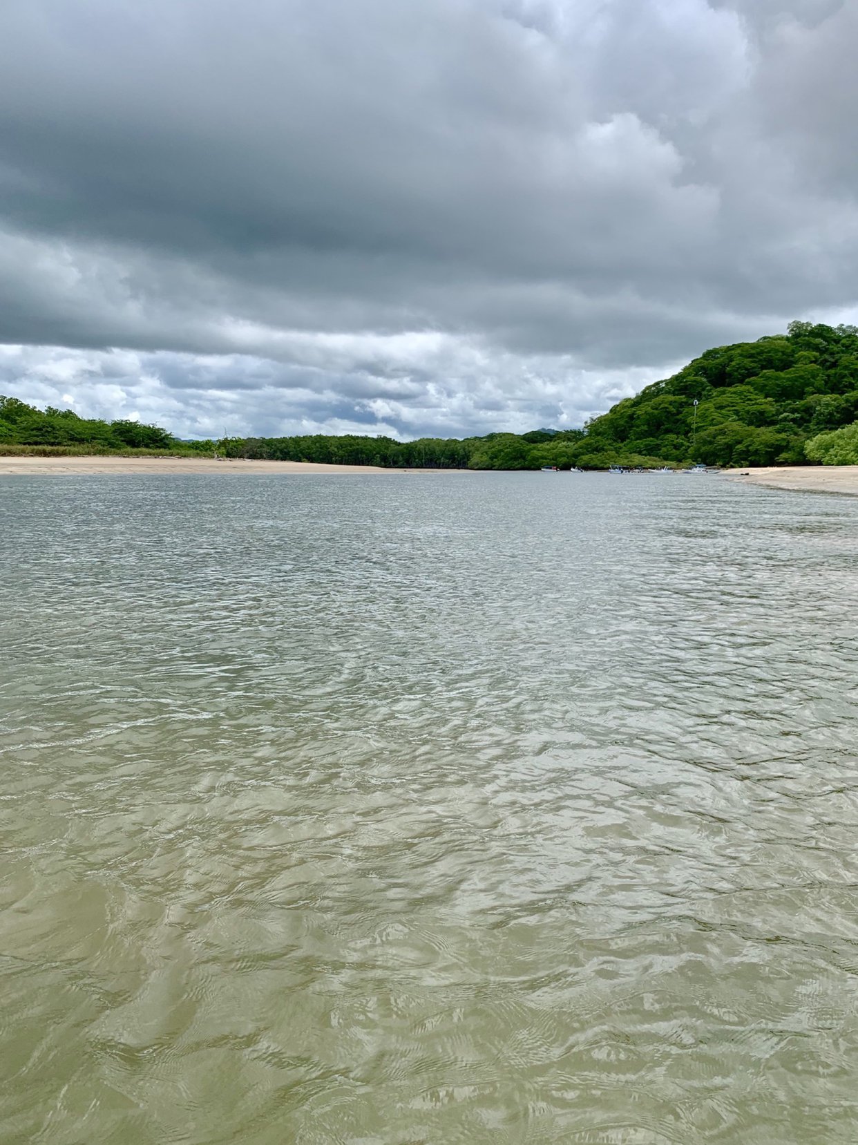 Tamarindo